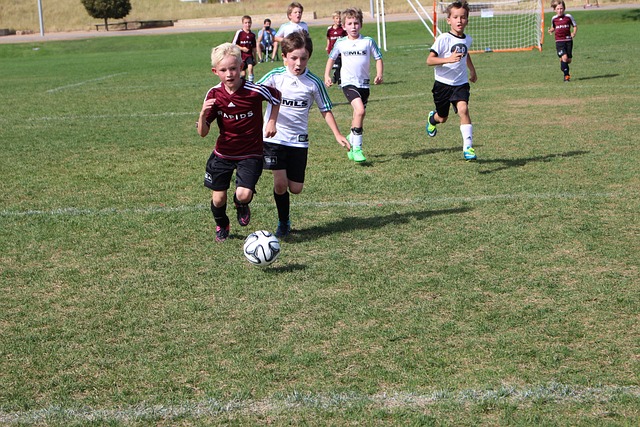 于内部调和 于内部调和