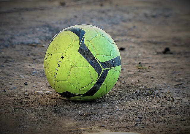 其选民近年 其选民近年