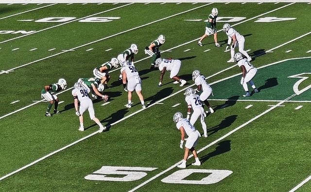 赢得了高光 赢得了高光