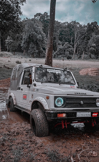 棋盘上的挑 棋盘上的挑