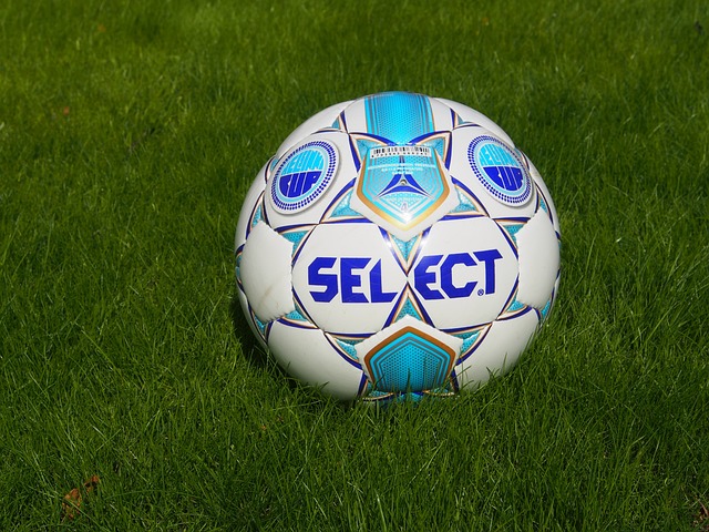 中国围棋名 中国围棋名