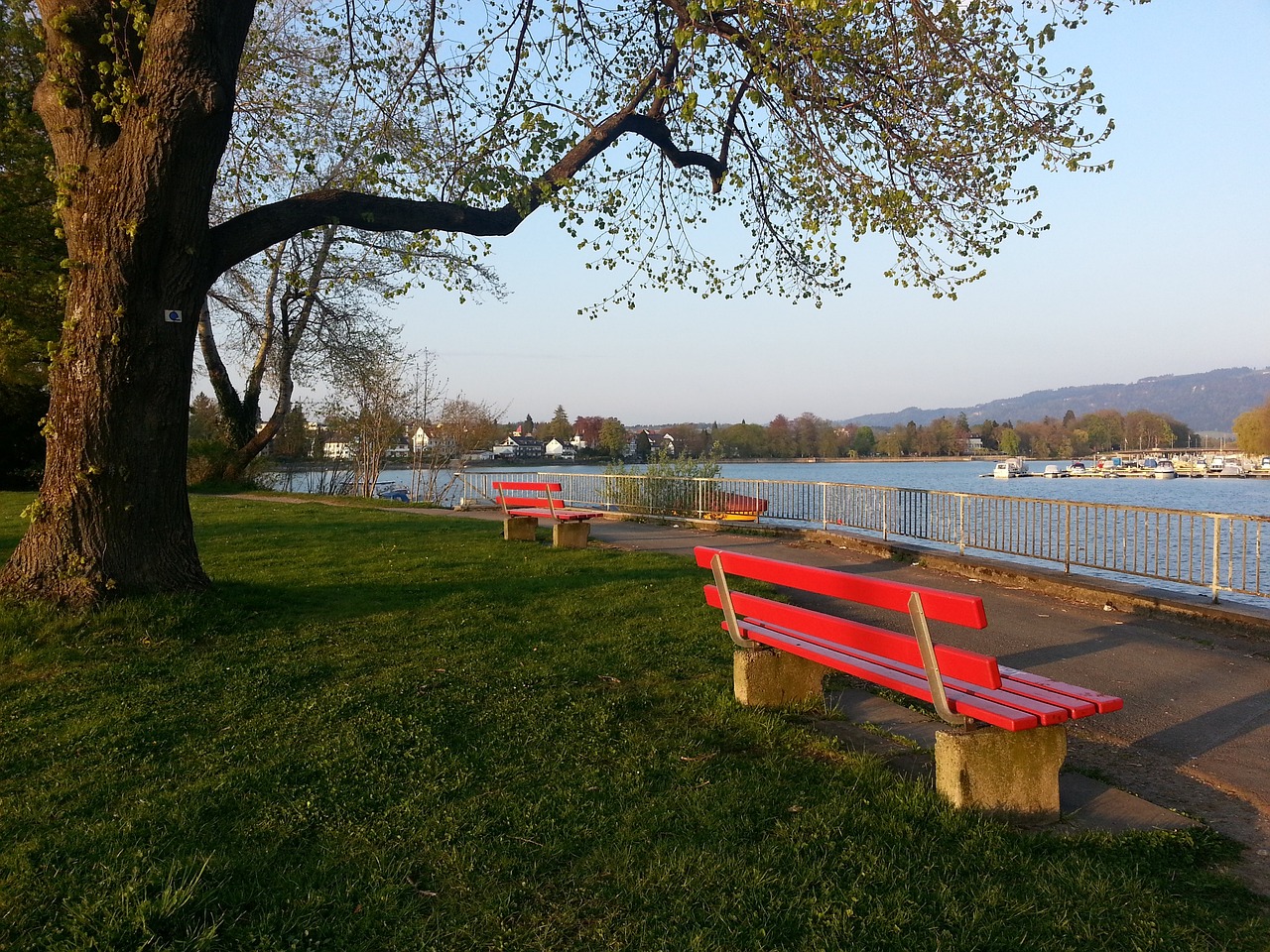 手的亮点表 手的亮点表