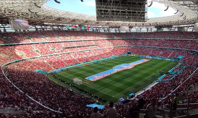 节日活动 节日活动