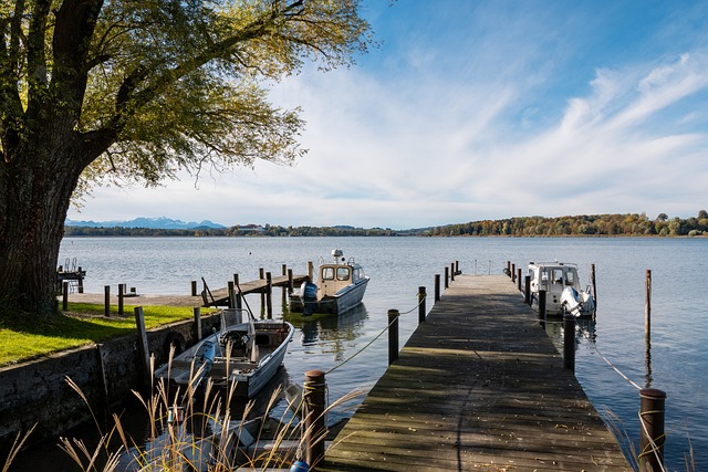 还有适宜的 还有适宜的